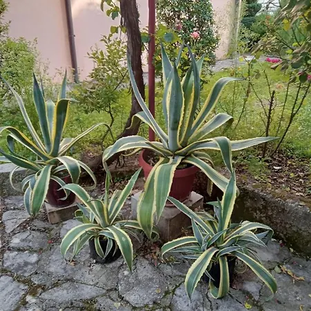 Prenociste San Guest house *