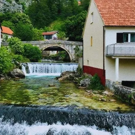 Prenociste San