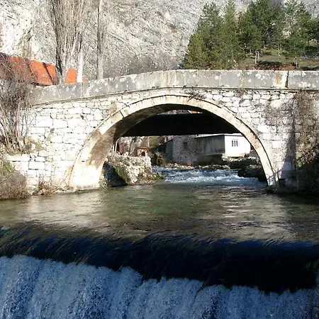 Prenociste San